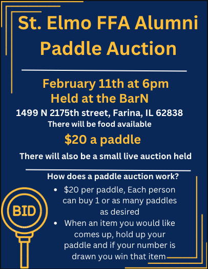 Paddle Auction